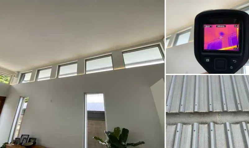 Ceiling: Roof Leak